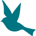 CairnBrae Logo