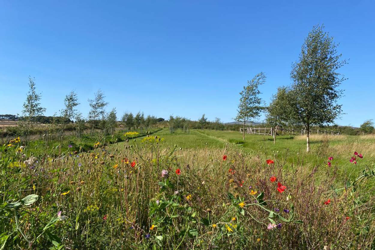 CairnBrae Natural Burial Grounds