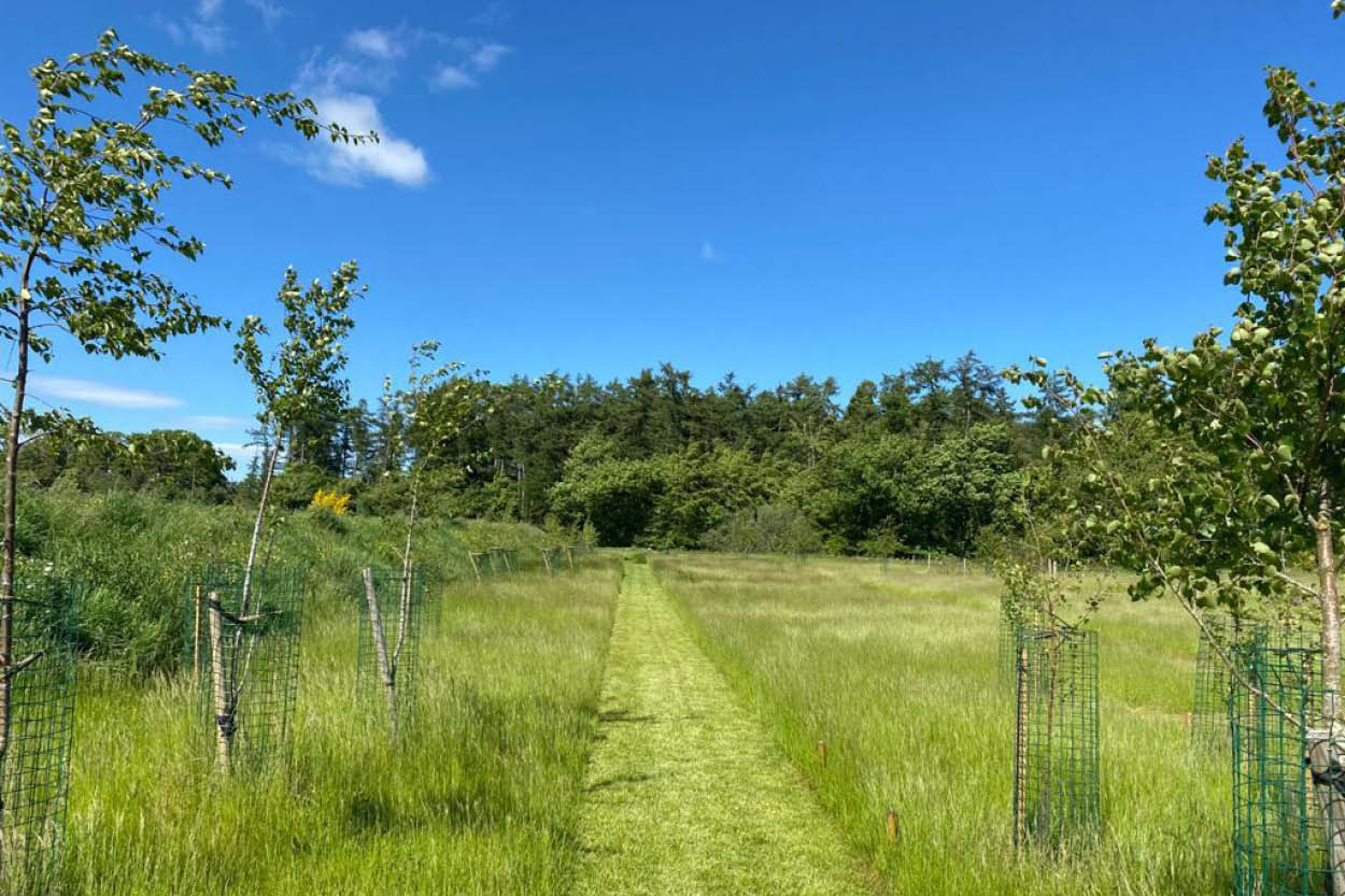 CairnBrae Natural Burial Grounds